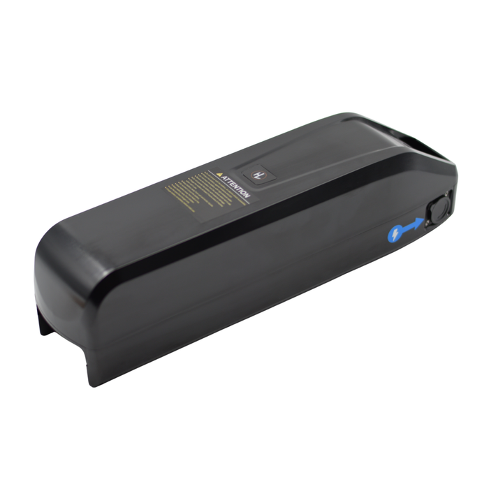 V20 - 48V Pil