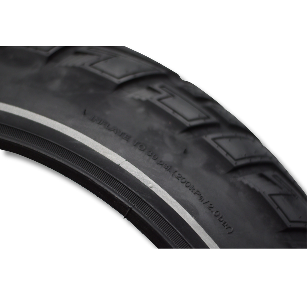 Buitenband CST Ride Ambro - 20 inch (Anti-lek)