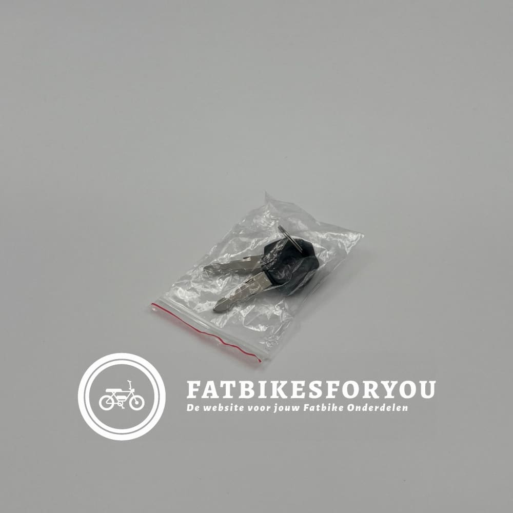 Accu - Fatbike - QM Wheel V20 Mini FatbikesForYou