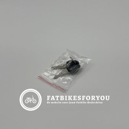 Accu - Fatbike - QM Wheel V20 Mini FatbikesForYou